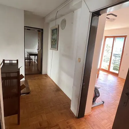 Apartma Lilijana 公寓